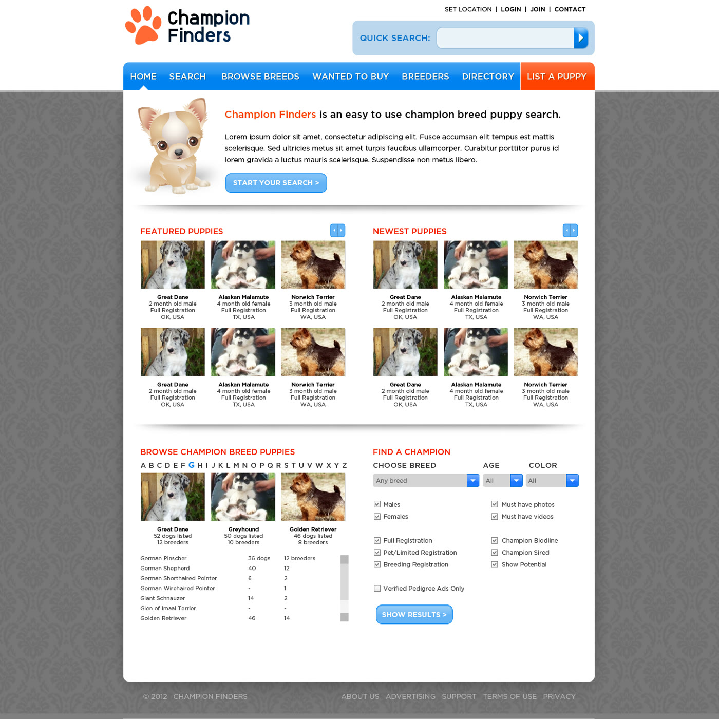 Champion Finders website